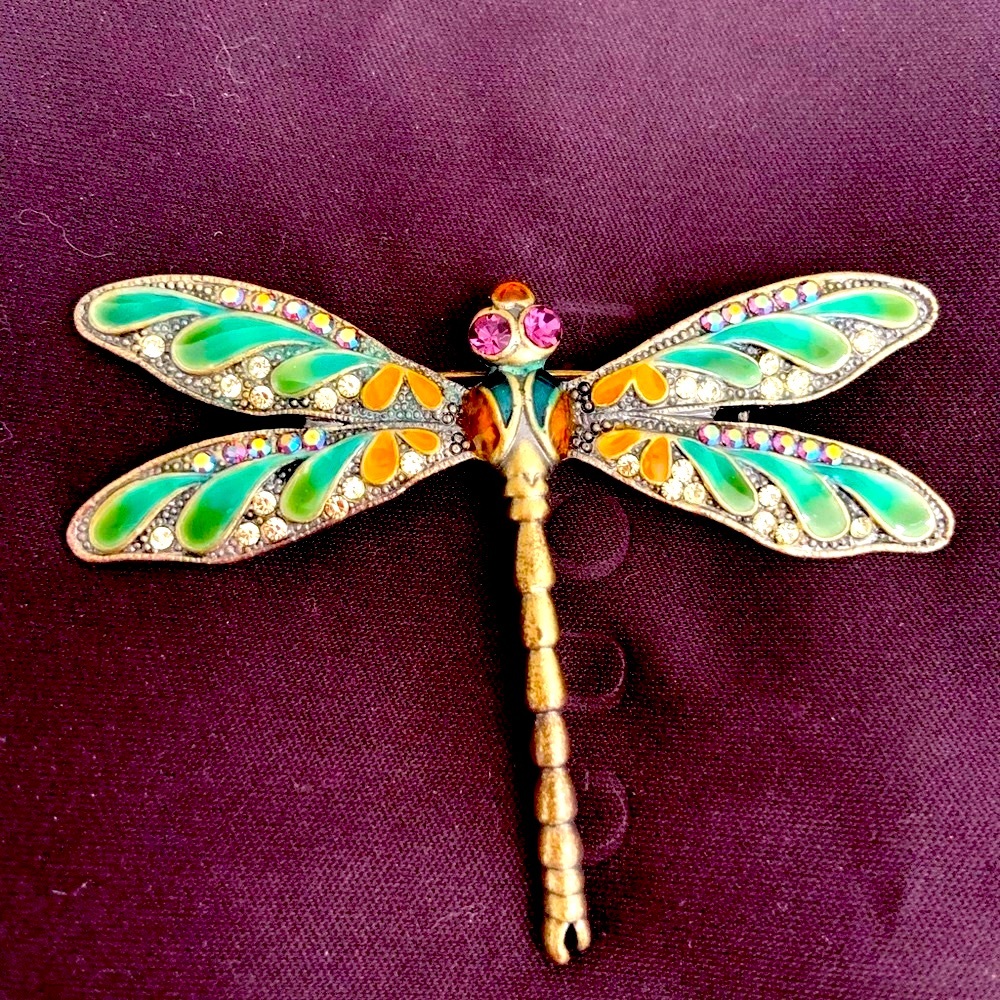 Antique  firefly pin.